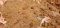 फलेवासको माटोमा अत्याधिक अम्लियपन